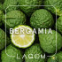 Табак Lagom Bergamia (Бергамот, 40г)