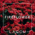 Табак Lagom Fireflower (Цветы с пряностями, 40г)