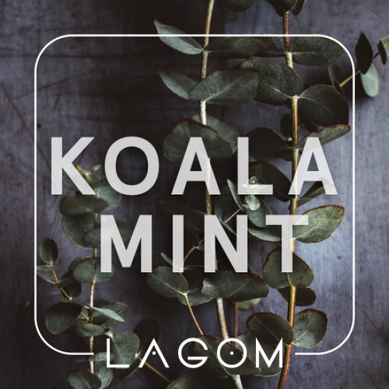 Табак Lagom Koala Mint (Орбит с эвкалиптом, 40г)