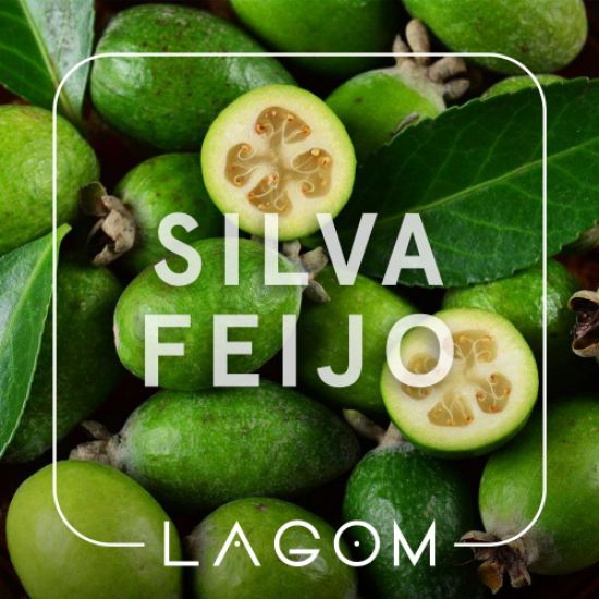 Табак Lagom Silva Feijo (Фейхоа, 40г)