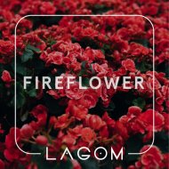 Табак Lagom Fireflower (Цветы с пряностями, 40г)