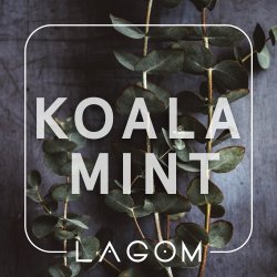 Табак Lagom Koala Mint (Орбит с эвкалиптом, 40г)