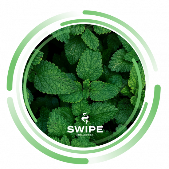 Безникотиновая смесь Swipe Mint (Мята, 50г)