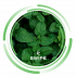Безникотиновая смесь Swipe Mint (Мята, 50г)
