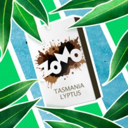 Табак для кальяна ZOMO TASMANIA LYPTUS 50 грамм